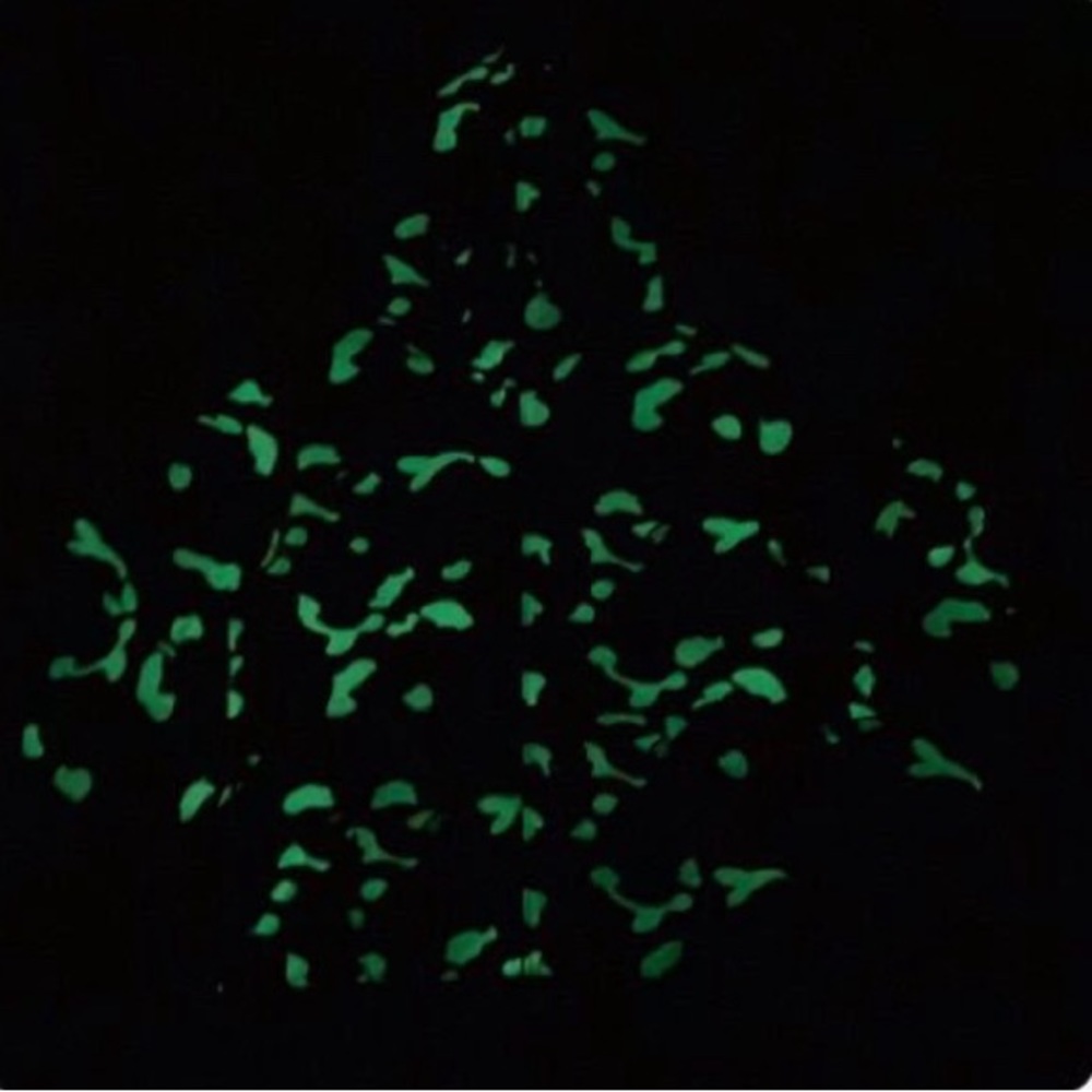 Bape Shark city Camo hoodie